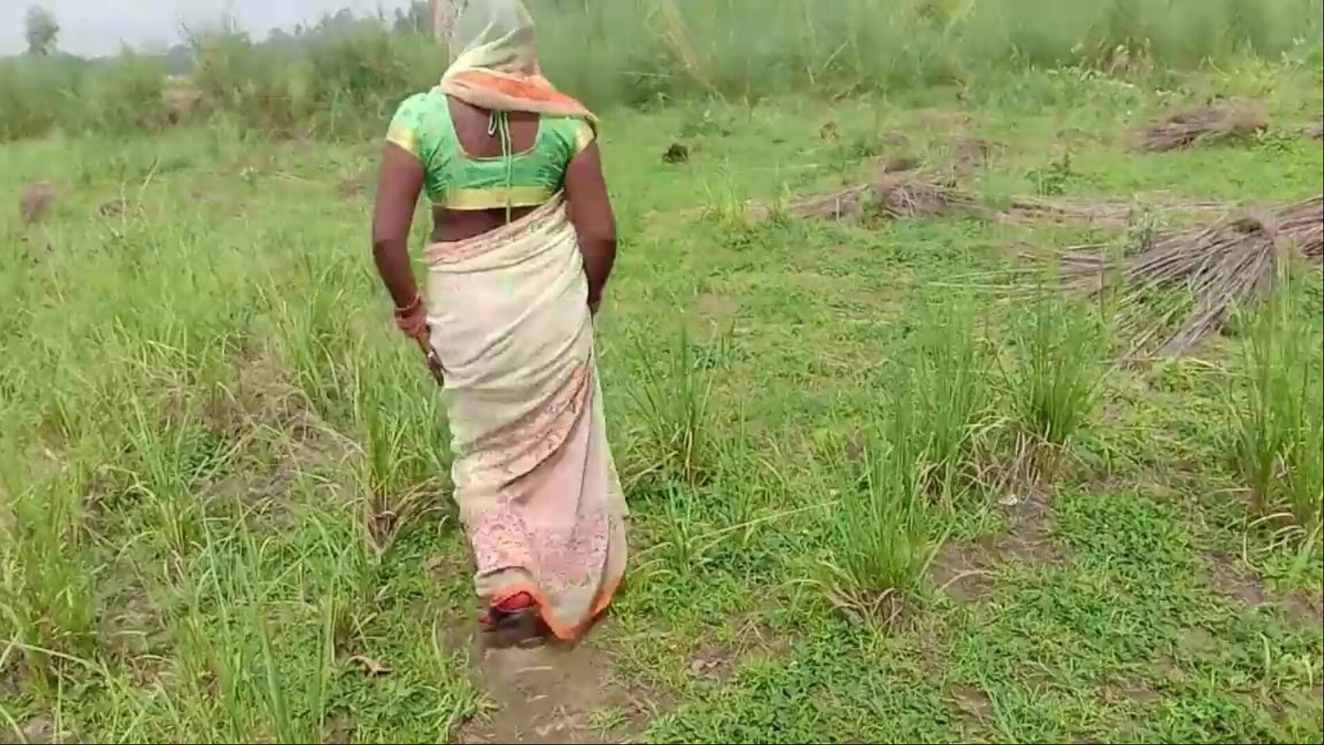 छोटी मोसी को खेत पे बुला के चोद लिया हिंदी में अश्लील